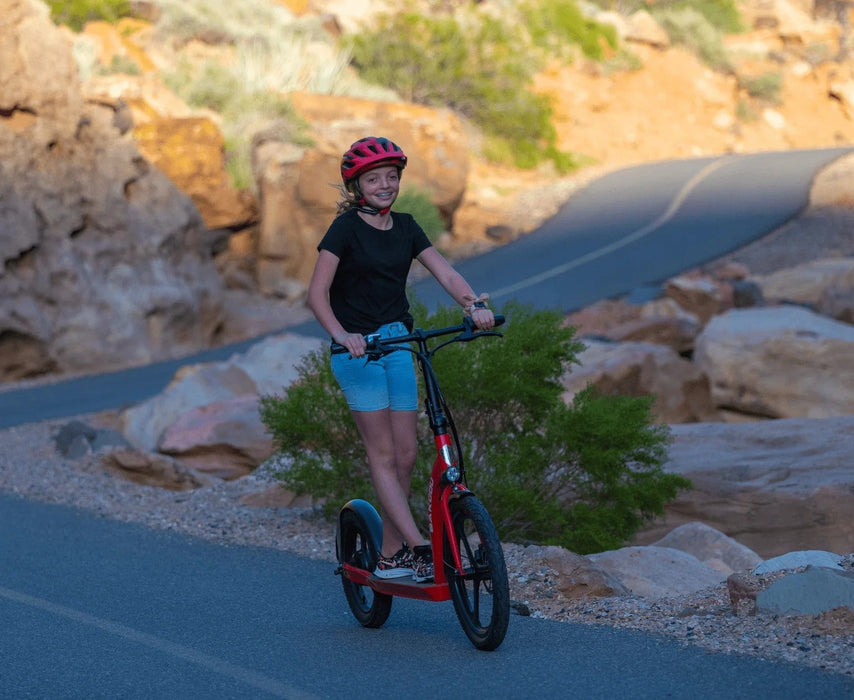 Bakcou Badger Electric Scooter