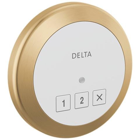 Delta® Steamscape™ Round Control