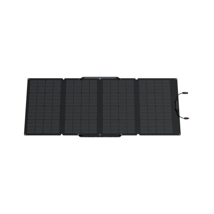 EcoFlow Delta 2 Max + 160W Solar Panel