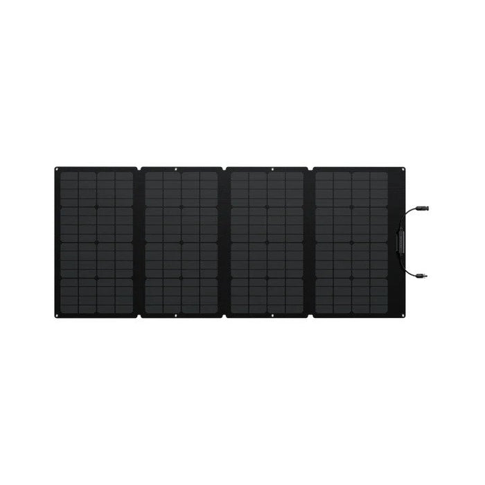 EcoFlow Delta 2 Max + 160W Solar Panel