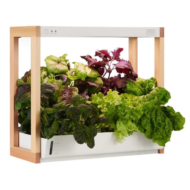 Rise Garden® Personal Rise Garden | Indoor Hydroponic Garden