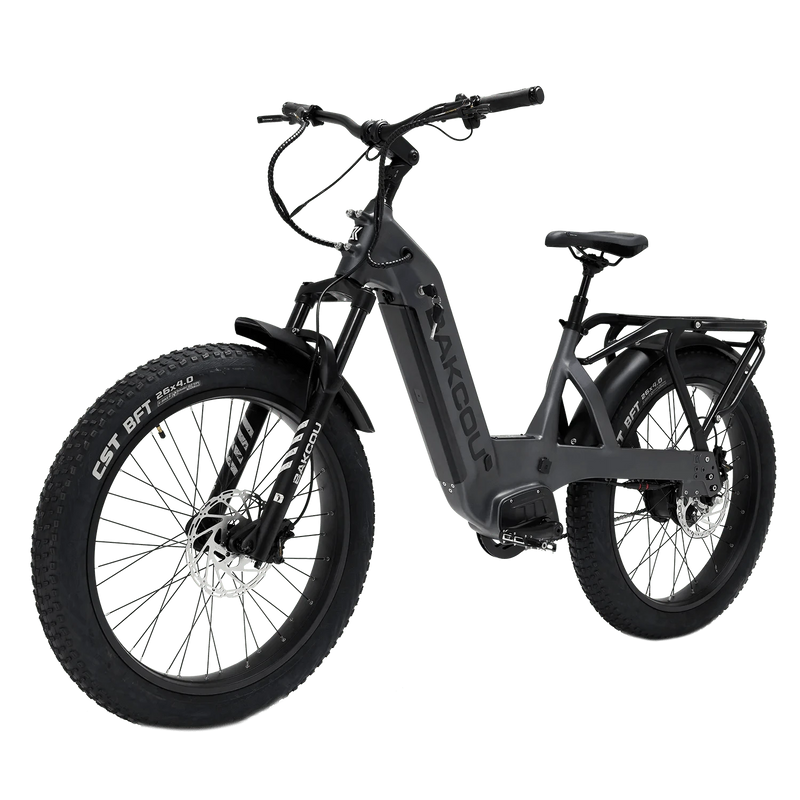 Bakcou Flatlander SD 26 (2025 Model) Electric Bike