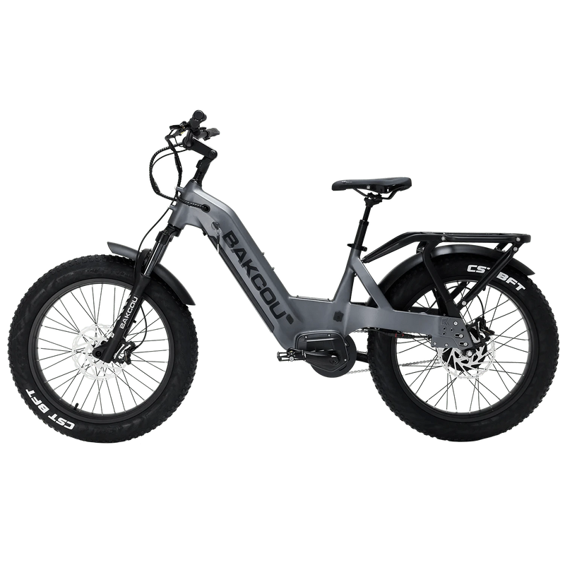 Bakcou Flatlander SD 26 (2025 Model) Electric Bike