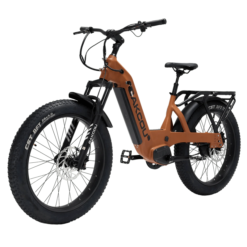 Bakcou Flatlander SD 26 (2025 Model) Electric Bike