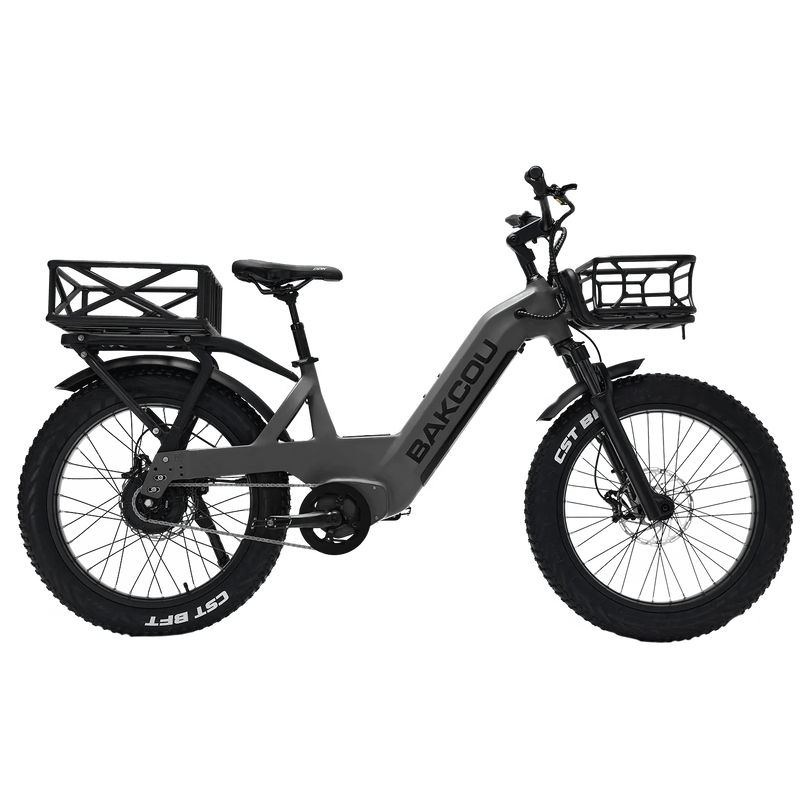 Bakcou Flatlander SD 26 (2025 Model) Electric Bike