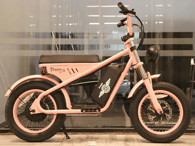 Freego Mini Model M1 Electric Motorcycle for Child