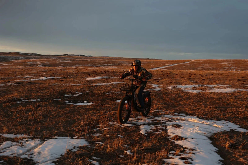 Bakcou Grizzly Electric Scooter