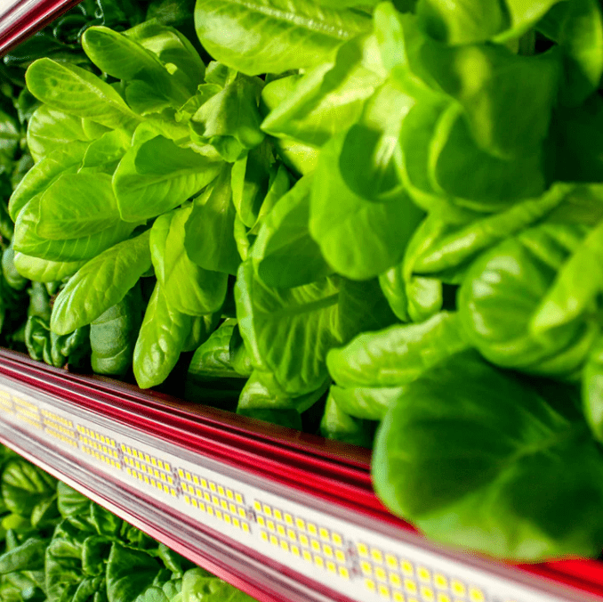 Just Vertical Free Standing Grow Rack