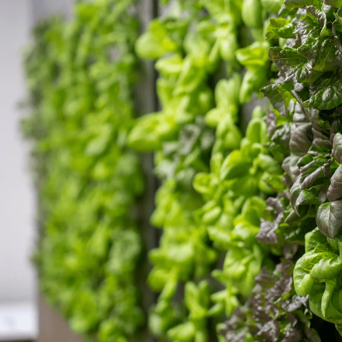 Just Vertical Free Standing Grow Rack