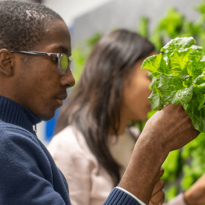 Just Vertical Free Standing Grow Rack