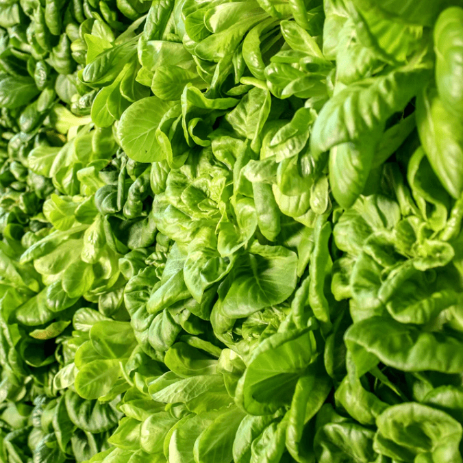 Just Vertical Free Standing Grow Rack