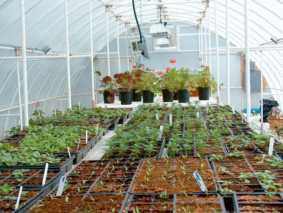 Solexx Conservatory Basic Greenhouse