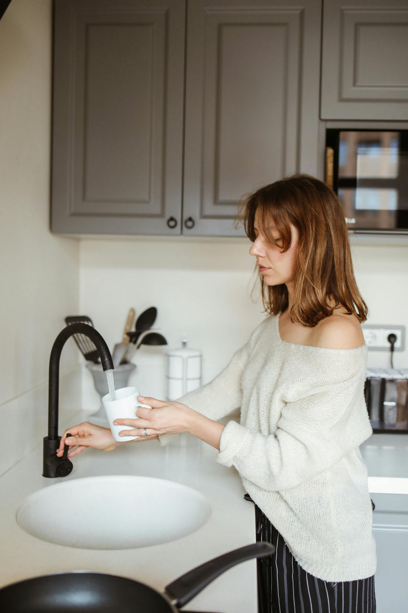 Natural Action Sink Revitalizer for RO Systems