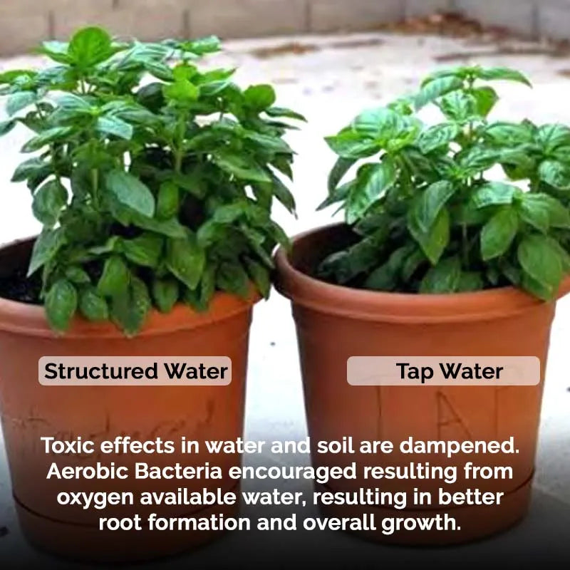 Natural Action Sink Revitalizer for RO Systems