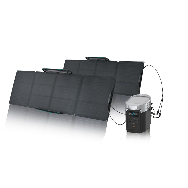 EcoFlow DELTA 2  + 110W Solar Panel