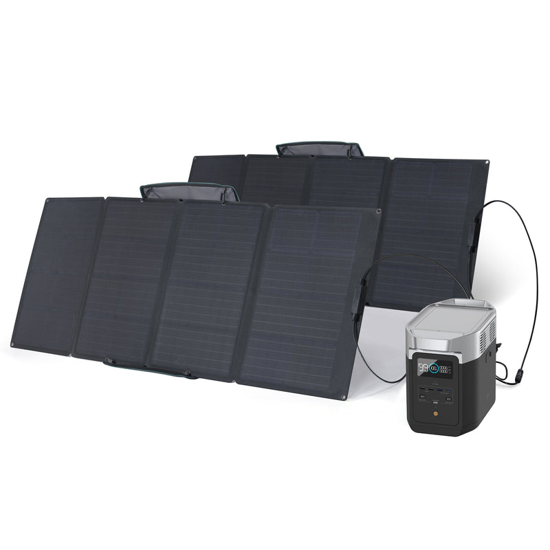 DELTA 2 with 2 160W Solar Panel