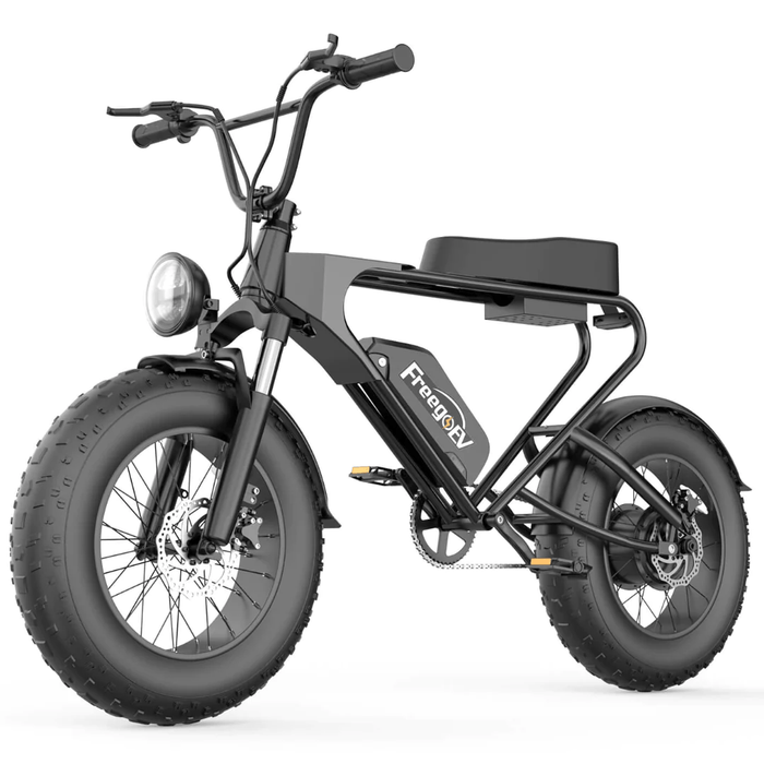 Freego DK200 Off Road Mountain Electric Bike 20'' Fat tires 1200W Powerful Motor 20Ah Lithium Battery