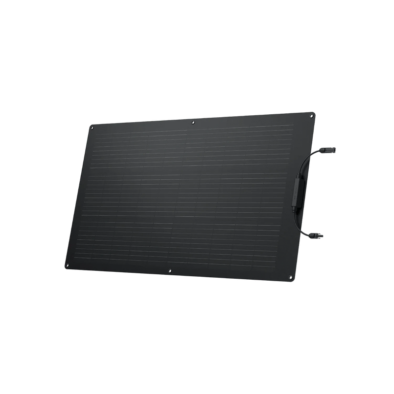 EcoFlow 100W Flexible Solar Panel