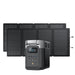 delta 2 with 2 220w solar panel