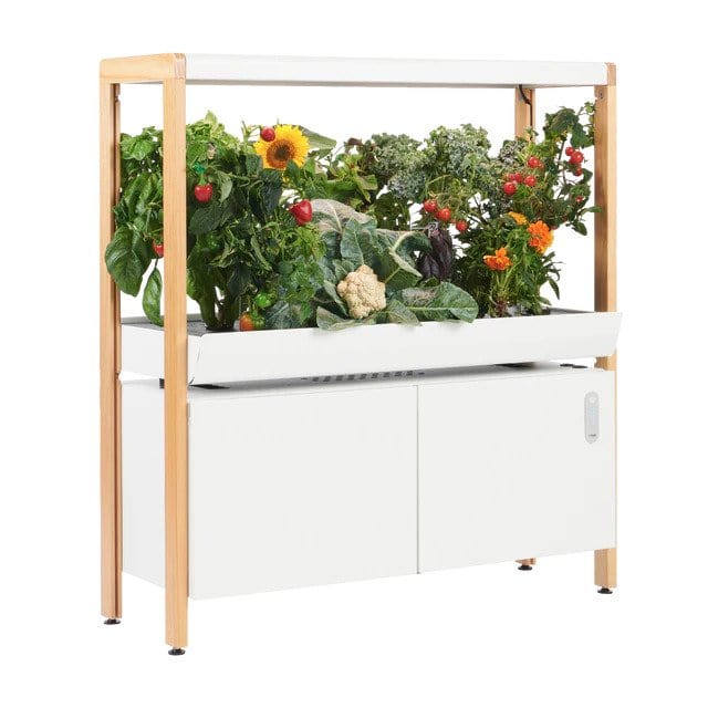 Rise Garden® The Rise Garden | Indoor Hydroponic Garden