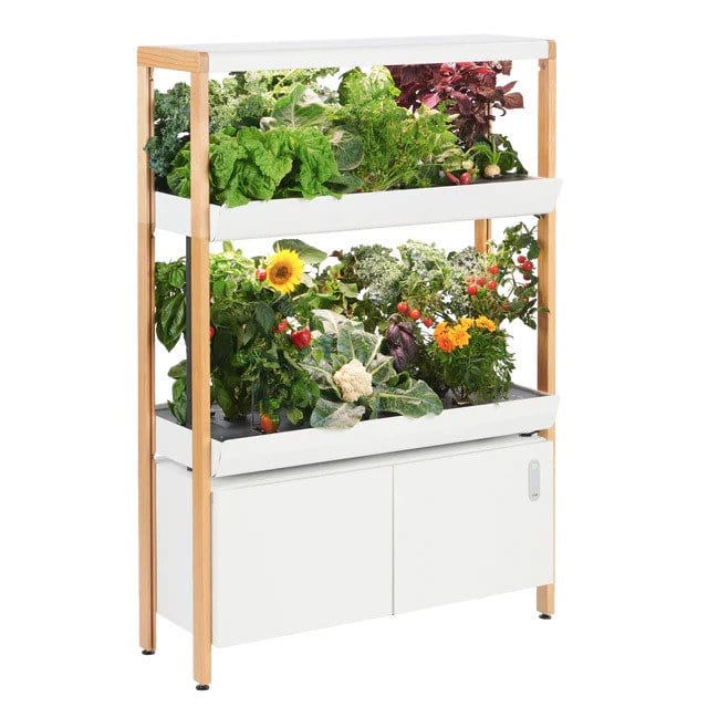 Rise Garden® The Rise Garden | Indoor Hydroponic Garden